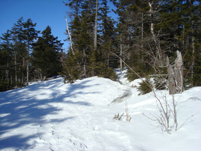 The Bartlett Path starts left, while the Kearsarge North Trail goes right