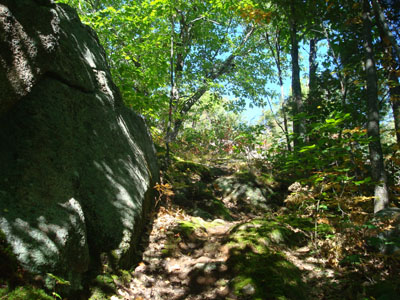 Looking up the trail to Bayle Mountain