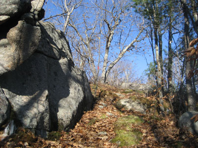 Looking up the trail to Bayle Mountain