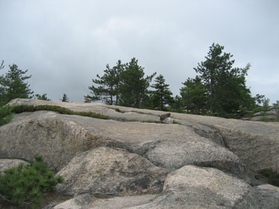 Looking up the Bayle Mountain Trail near the summit