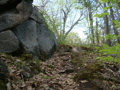 Looking up the Bayle Mountain Trail near the summit