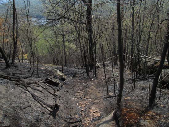 Looking down the charred Bayle Mountain Trail