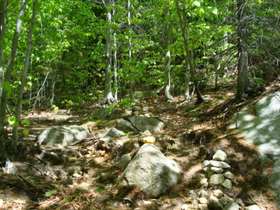 The trailhead to the trail to the Bayle Mountain summit