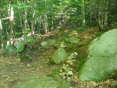The trailhead to the trail to the Bayle Mountain summit