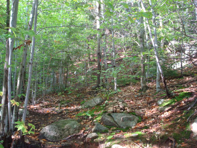 The trailhead to the trail to the Bayle Mountain summit