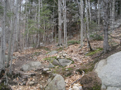 The trailhead to the trail to the Bayle Mountain summit