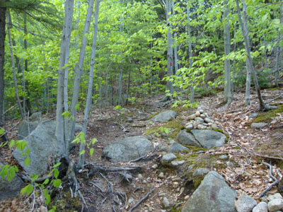 The Bayle Mountain Trail trailhead on the snowmobile trail