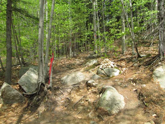 The Bayle Mountain Trail trailhead on the snowmobile trail
