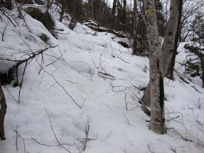 Looking up the Bear Mountain Trail