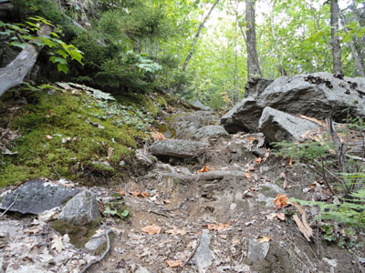 Looking up the steep Bear Mountain Trail