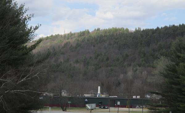 Beech Hill