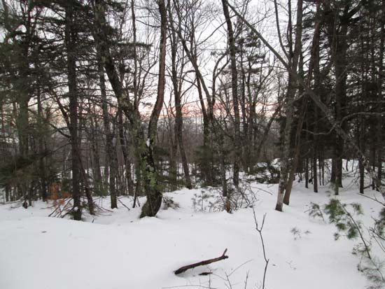 Beech Hill
