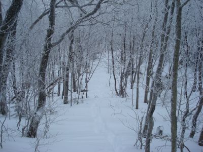 The Blue Trail between Gunstock Mountain and Belknap Mountain