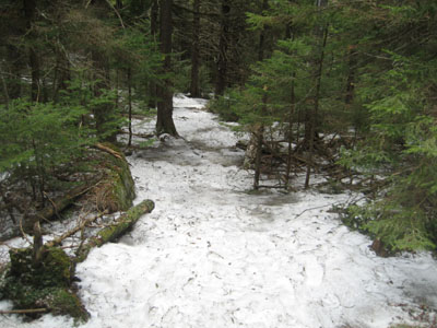 The Saddle Trail on the way to Belknap Mountain