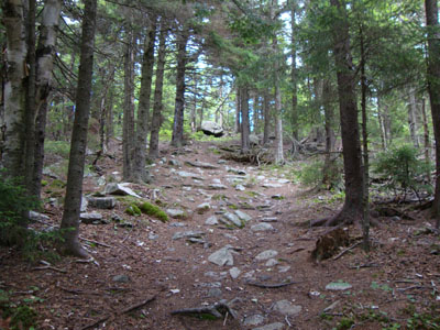 Looking up the Red Trail on the way to the Belknap Mountain summit