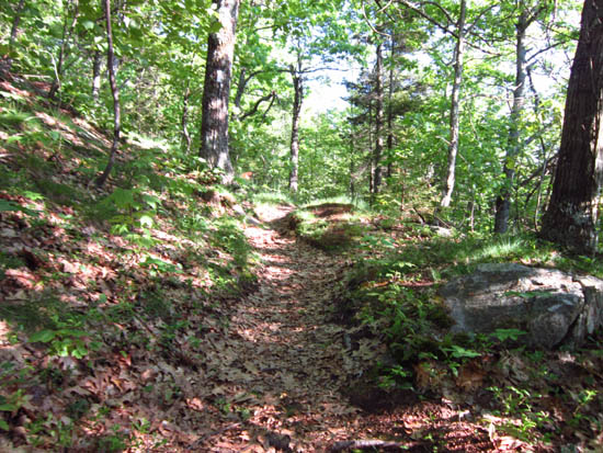 The White Trail on the way to Belknap Mountain