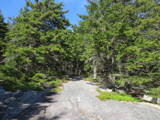 The White Trail on the way to Belknap Mountain