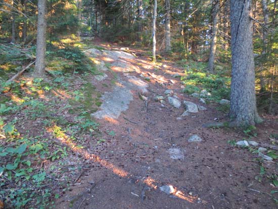 The Blue Trail between Gunstock Mountain and Belknap Mountain