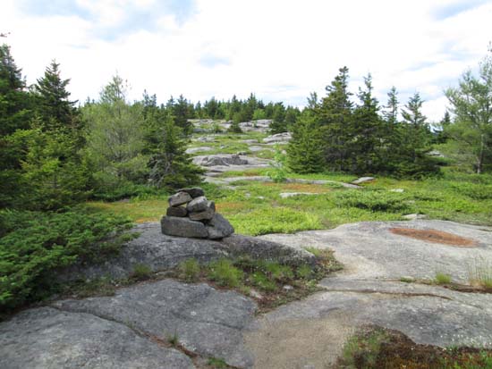 The Green Trail on the way to Belknap Mountain