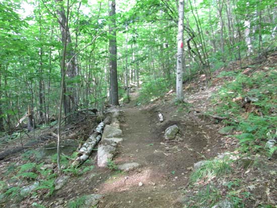 A recently rebuilt stretch of the Red Trail