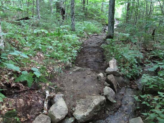 A recently rebuilt stretch of the Red Trail