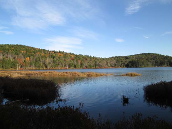 Round Pond
