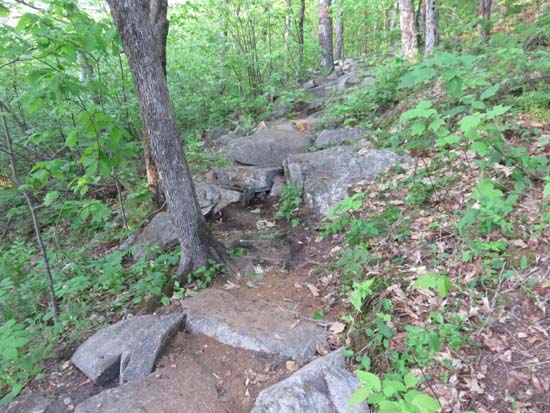 A recently rebuilt stretch of the Red Trail
