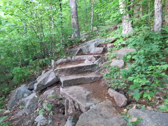 A recently rebuilt stretch of the Red Trail