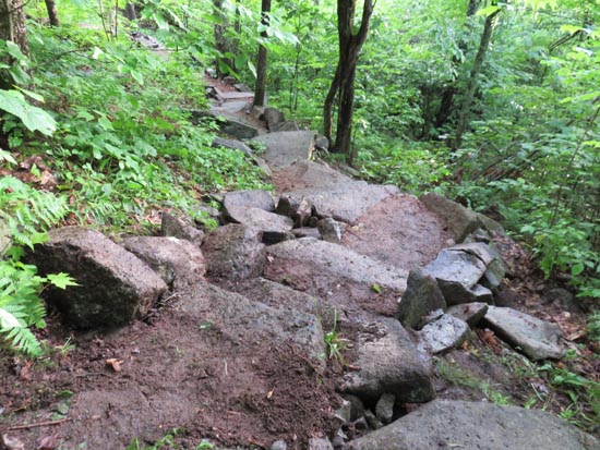 A recently rebuilt stretch of the Red Trail