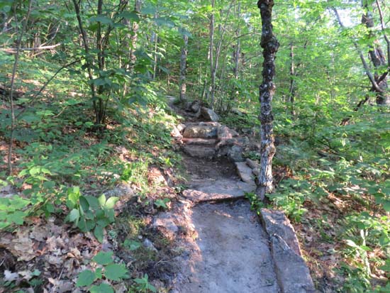 A recently rebuilt stretch of the Red Trail
