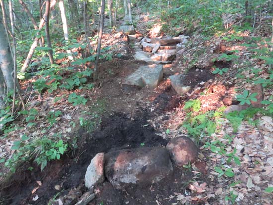 A recently rebuilt stretch of the Red Trail