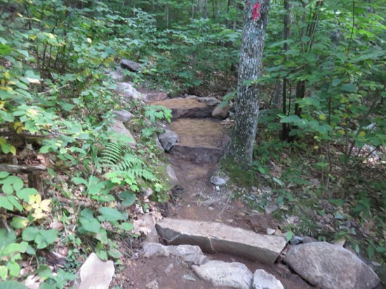 A recently rebuilt stretch of the Red Trail