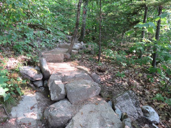 A recently rebuilt stretch of the Red Trail