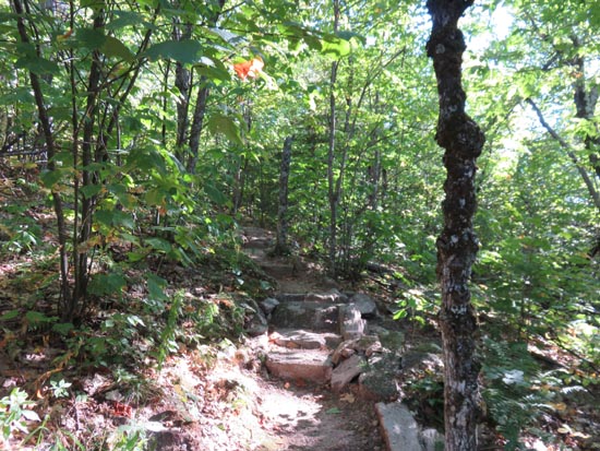 A recently rebuilt stretch of the Red Trail