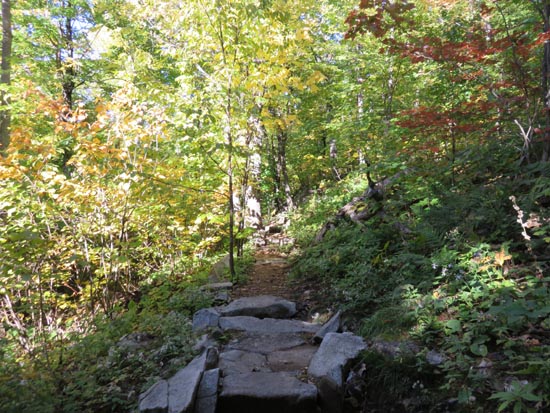 A recently rebuilt stretch of the Red Trail