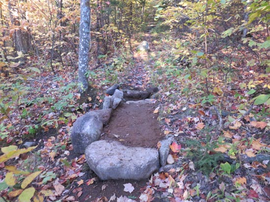 A recently rebuilt stretch of the Red Trail