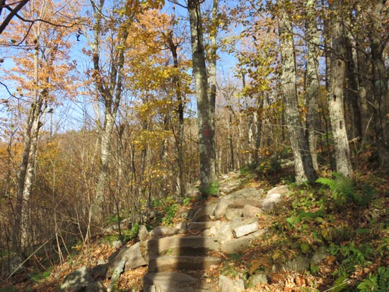 A recently rebuilt stretch of the Red Trail