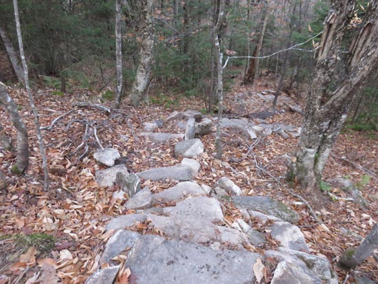 A recently rebuilt stretch of the Red Trail
