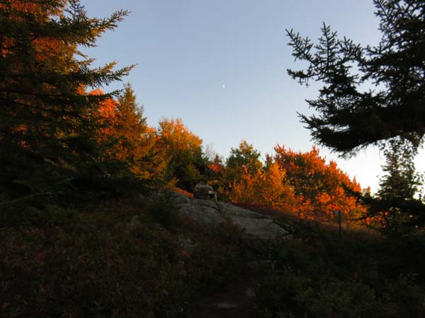 Looking up the Blue Trail