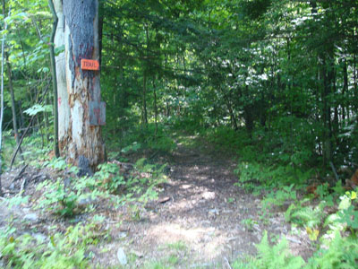The East Gilford Trail trailhead