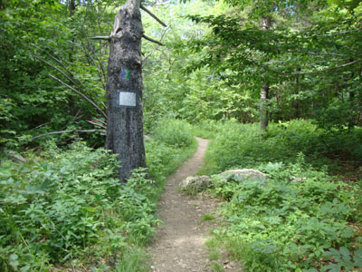The Blue Trail trailhead