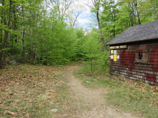 The Blue Trail trailhead