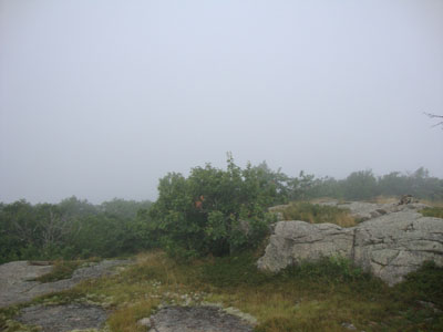 Fog as seen from Big Ball Mountain - Click to enlarge