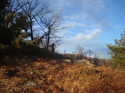 Looking the herd path from Little Ball Mountain to the Banana Trail on the way to Big Ball Mountain