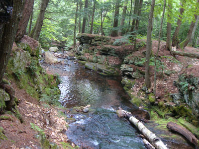 The gorge next to the Mt. Shaw Trail