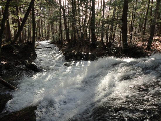 Roaring water along the Mt. Shaw Trail