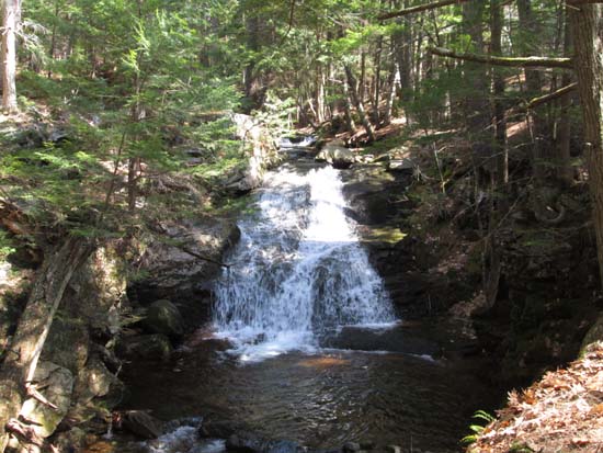 Cascades along the Mt. Shaw Trail just before the Tate Mountain Trail junction