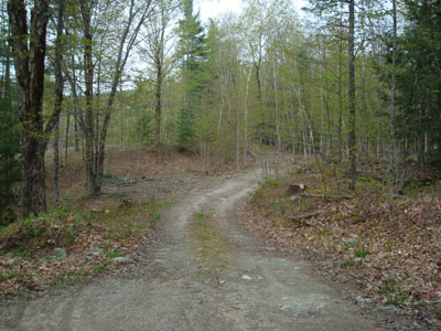 The Banana Trail trailhead on McDuffee Road