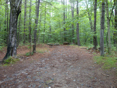 The Mt. Shaw Trail trailhead