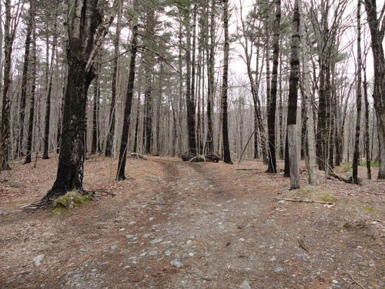The Mt. Shaw Trail trailhead